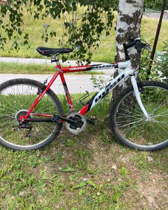 MTB Ragazzo 26"