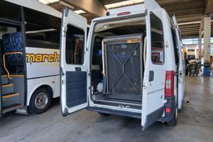 Fiat ducato trasporto disabili