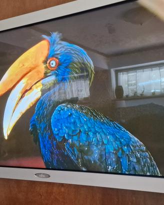 Televisore Fujitsu Plasmavision