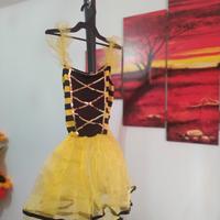 Vestito di Carnevale (APE)
