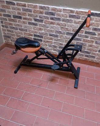 sport rider