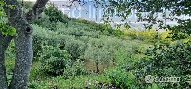 Terreno 7.000 mq e rustico a pidimonte etneo - Vista 2