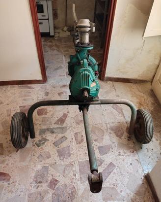 pompa acqua orizzontale su carrello 