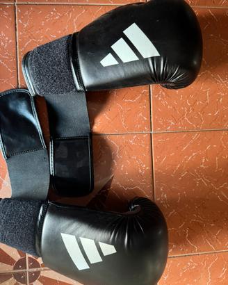 guantoni arti marziali adidas