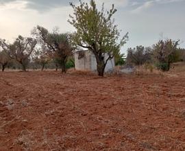 Terreno agricolo edificabile vicinanze mare