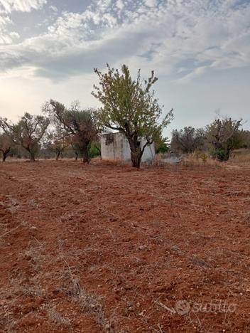 Terreno agricolo edificabile vicinanze mare