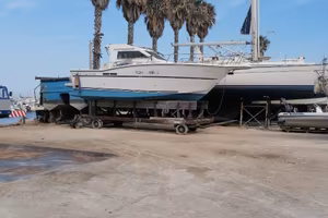 Zaniboni F310 Bluetime