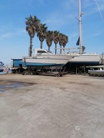 Zaniboni F310 Bluetime