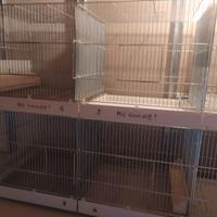 Gabbie da 90 cm per canarini