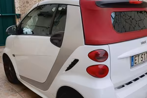 Smart 2013