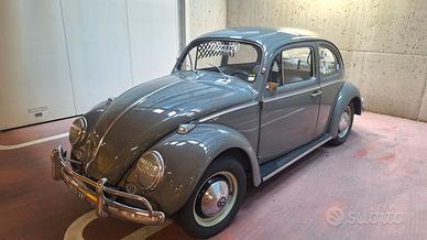 maggiolino 6v