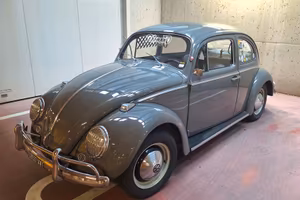 maggiolino 6v