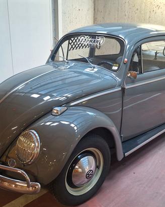 maggiolino 6v