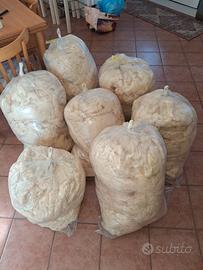 25kg di lana di pecora