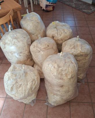 25kg di lana di pecora