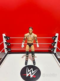 WWE Cm Punk Action Figure