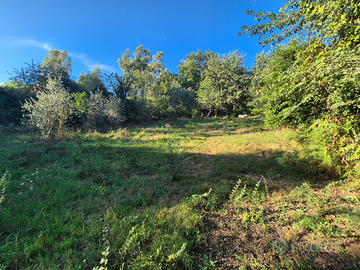 Terreno agricolo via sagliuta