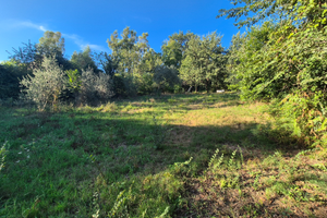 Terreno agricolo via sagliuta