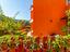 Immagine 27