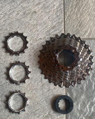 Pacco Pignoni 10V 11-28 Perfetto