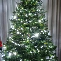 Alberto di Natale con luci