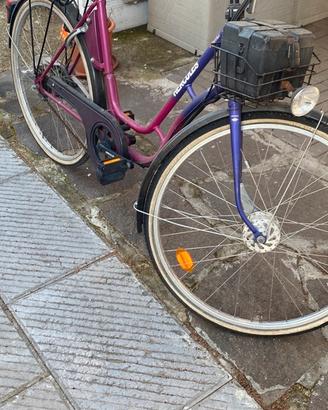 Olandesina vintage pedalata assistita