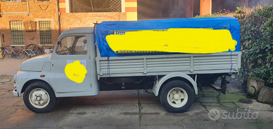 Disponibile per eventi