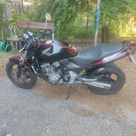 Honda Hornet 600