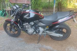 Honda Hornet 600