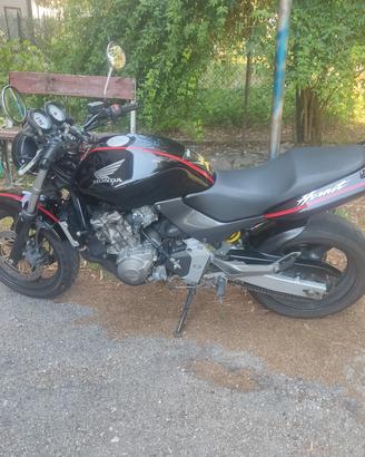 Honda Hornet 600