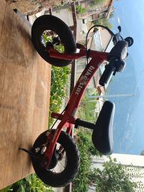 bicicletta Senza pedali