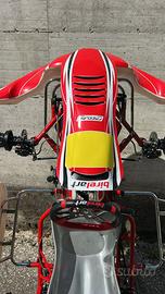 Birel s19