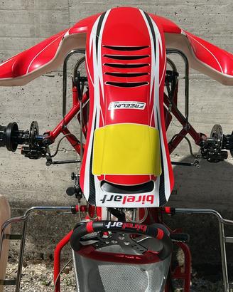 Birel s19