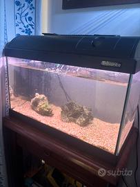 Acquario askoll 30 litri