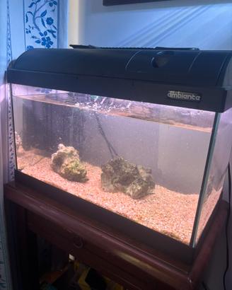 Acquario askoll 30 litri
