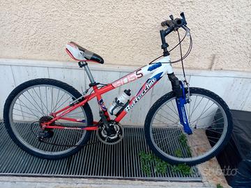 Bottecchia 24