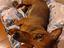 Immagine 5