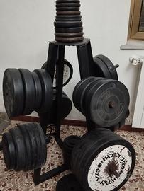 porta pesi con pesi 