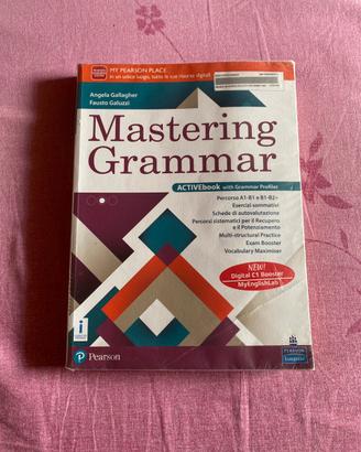 Mastering grammar