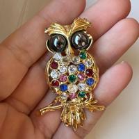 Collezionismo spilla 