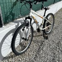 Bicicletta mountain bike