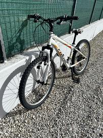 Bicicletta mountain bike