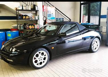 spider 155 cv l