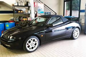spider 155 cv l
