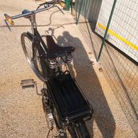 Mosquito bianchi