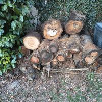 legna da ardere di ciliegio