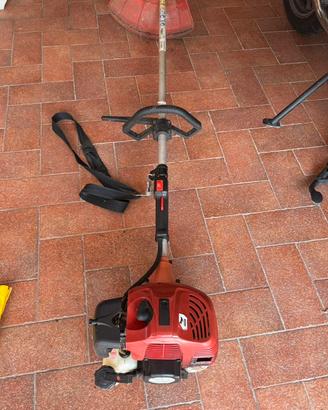 Decespugliatore a scoppio