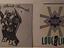 Immagine 6