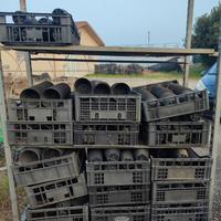 Vasi da giardinaggio 