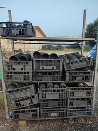 Vasi da giardinaggio 